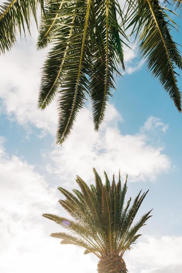 La Palmera - Fabulosa Casa, Lanzarote, Playa Honda بلايا هوندا المظهر الخارجي الصورة