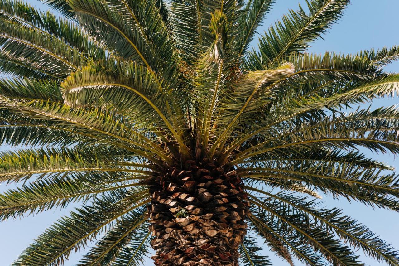 La Palmera - Fabulosa Casa, Lanzarote, Playa Honda بلايا هوندا المظهر الخارجي الصورة